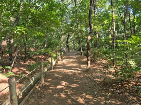 강서둘레길1코스(개화산숲길) 사진 4
