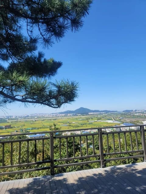 강서둘레길1코스(개화산숲길) 사진 10