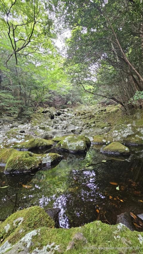 한라산둘레길5구간(수악길) 사진 3
