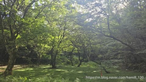 한라산둘레길5구간(수악길) 사진 4