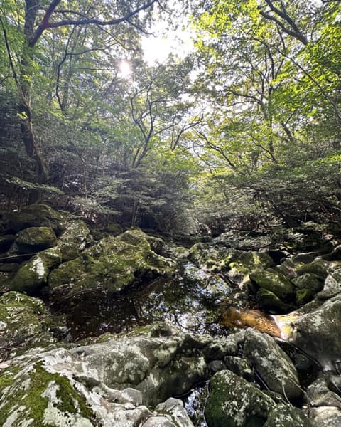 한라산둘레길5구간(수악길) 사진 6