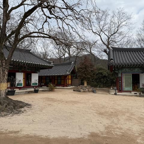 신문왕호국행차길 사진 6