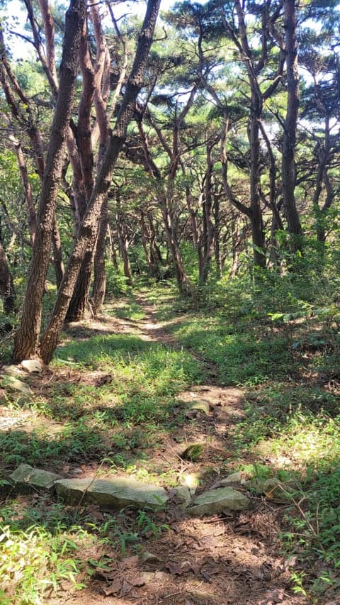 내포문화숲길(내포불교순례길1코스) 사진 1