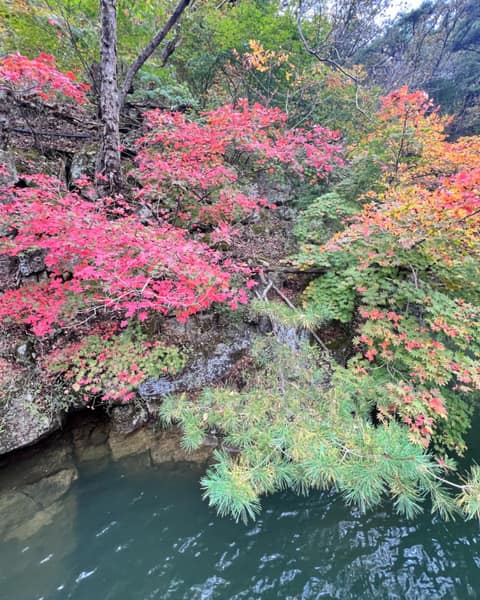 산정호수둘레길 사진 2