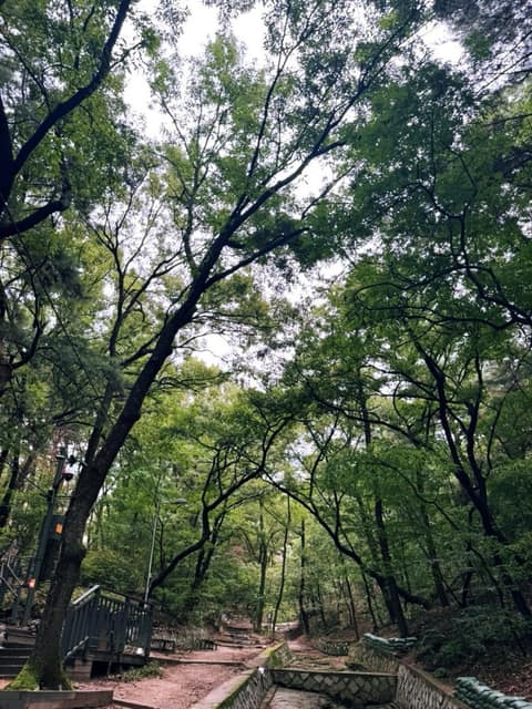 봉화산둘레길1코스 사진 1