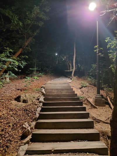 봉화산둘레길1코스 사진 4