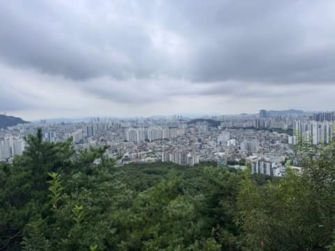 봉화산둘레길1코스 사진 5