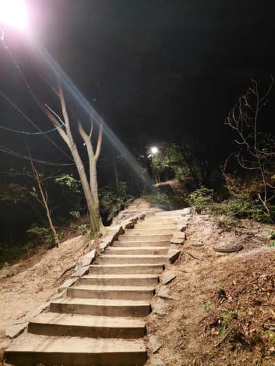 봉화산둘레길1코스 사진 7