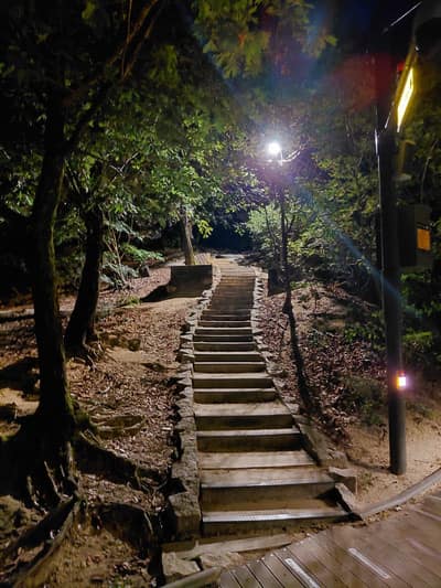 봉화산둘레길1코스 사진 8