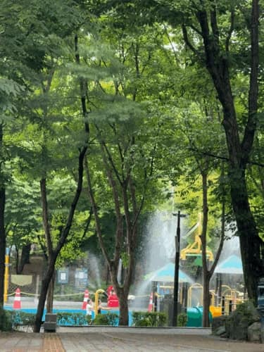 봉화산둘레길1코스 사진 10