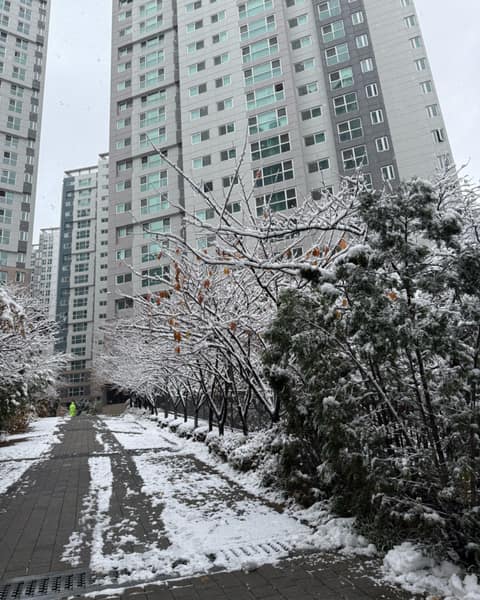 마포걷고싶은길 사진 4