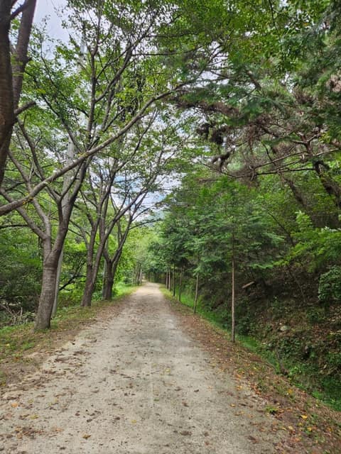 팔공산 사진 9