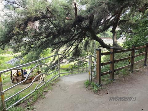 팔공산왕건길1코스(용호상박길) 사진 4