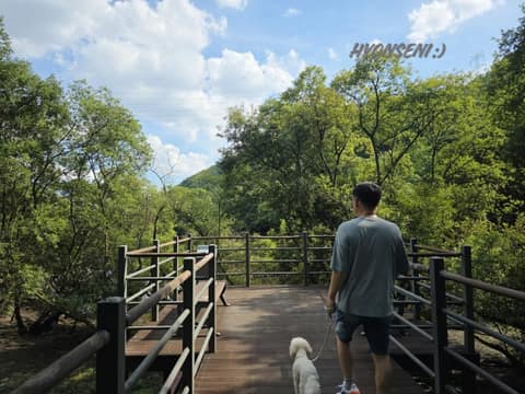 팔공산왕건길1코스(용호상박길) 사진 6