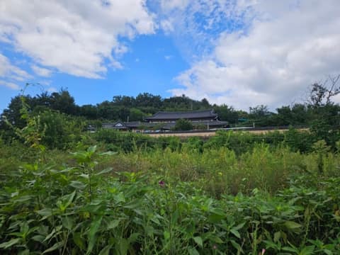 팔공산왕건길1코스(용호상박길) 사진 10