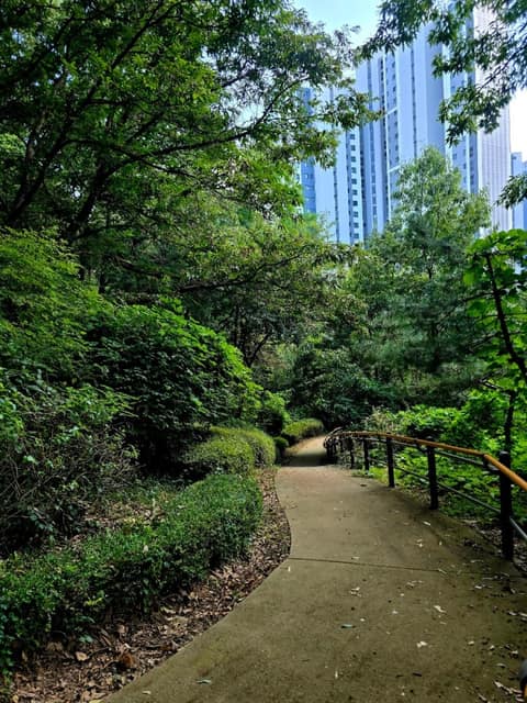경기둘레길김포58코스 사진 6