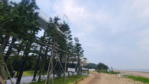 태안해변길4코스(솔모랫길) 사진 7