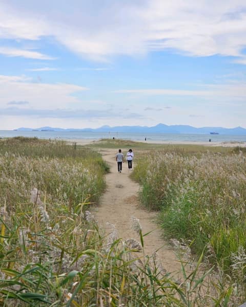 다대포생태탐방로 사진 9