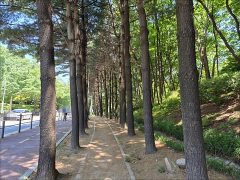강서둘레길3코스(강서한강길) 사진 1