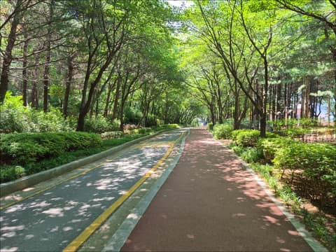 강서둘레길3코스(강서한강길) 사진 2