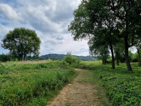 비내길1코스 사진 4