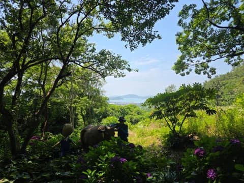서해랑길18코스 사진 3