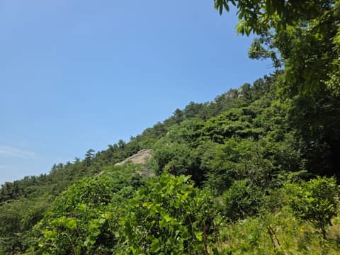서해랑길18코스 사진 5