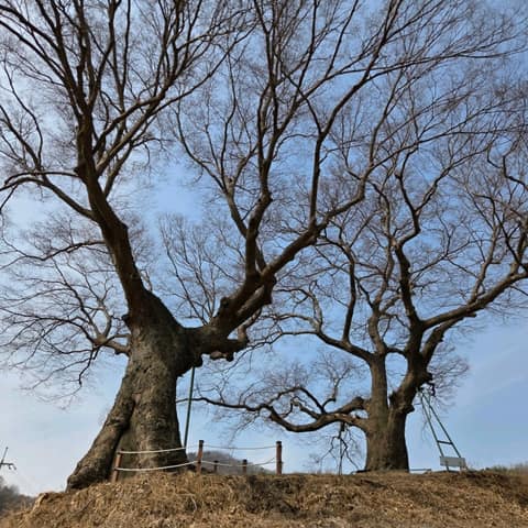 경기둘레길김포3코스 사진 5
