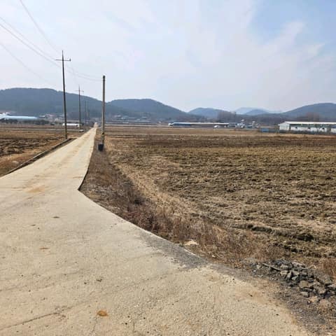 경기둘레길김포3코스 사진 6