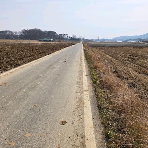 경기둘레길김포3코스 사진 9