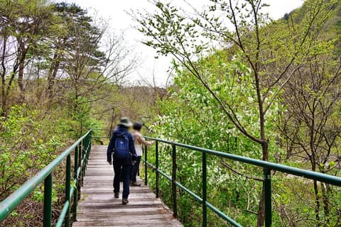 둔가리약수숲길3코스(미산동길) 사진 3