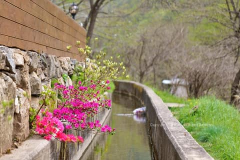 둔가리약수숲길3코스(미산동길) 사진 5