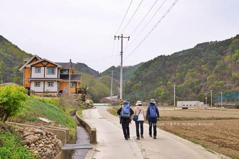 둔가리약수숲길3코스(미산동길) 사진 10