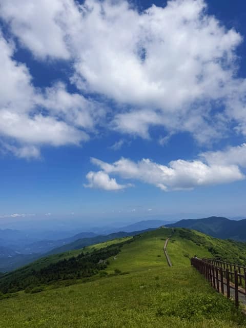 소백산자락길2코스 사진 2