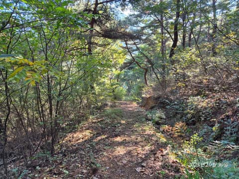 낙동정맥트레일경주1코스(본선) 사진 1