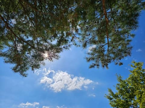 횡성호수길5구간(가족길) 사진 5