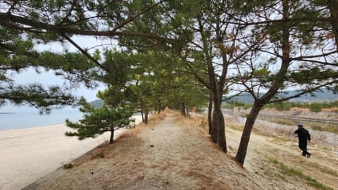 서해랑길70코스 사진 2