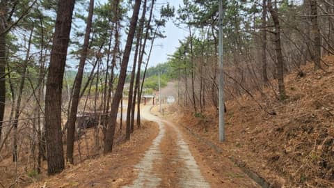 서해랑길70코스 사진 4