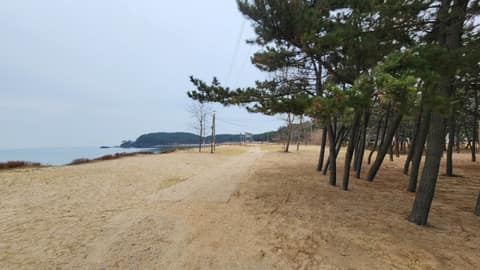 서해랑길70코스 사진 5