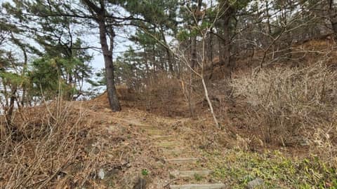 서해랑길70코스 사진 7