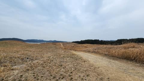 서해랑길70코스 사진 10
