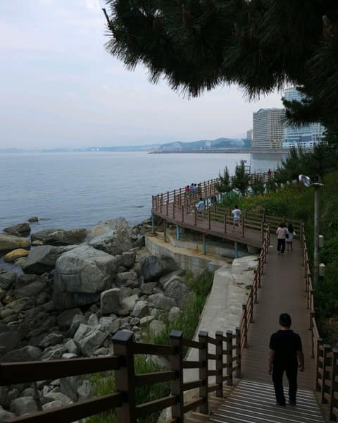 속초외옹치항둘레길 사진 6