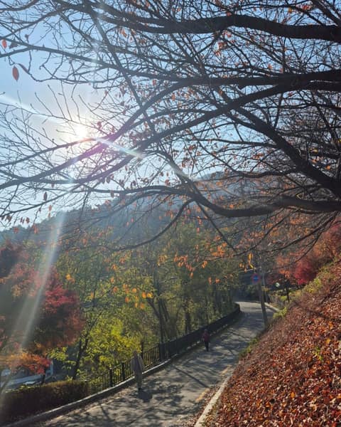 인왕산자락길 사진 4