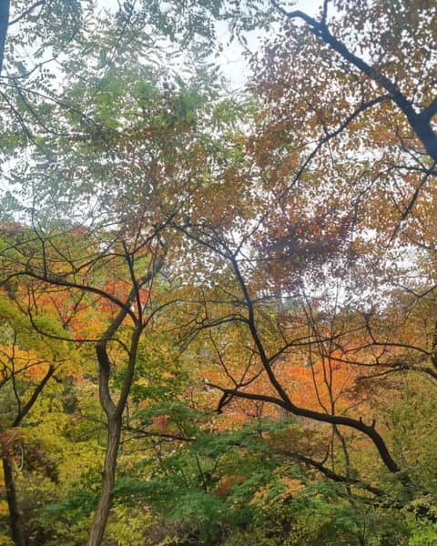 인왕산자락길 사진 5