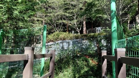장산누리길 사진 8