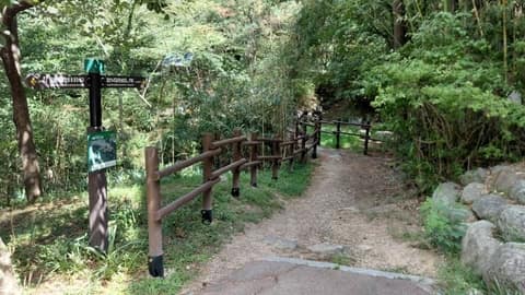 장산누리길 사진 9