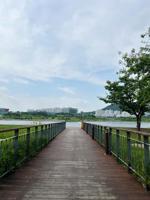 세종호수공원C코스 사진 5
