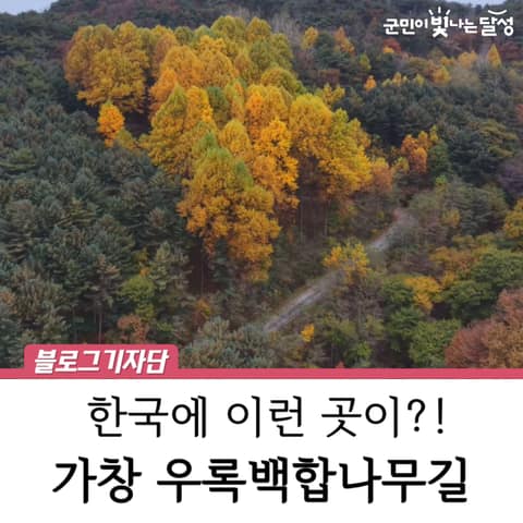 비슬산둘레길7구간(우록백합나무길) 사진 3