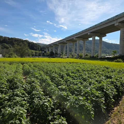 경기둘레길양평31코스 사진 10