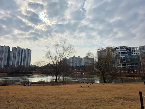 평택섶길10코스(과수원길) 사진 1